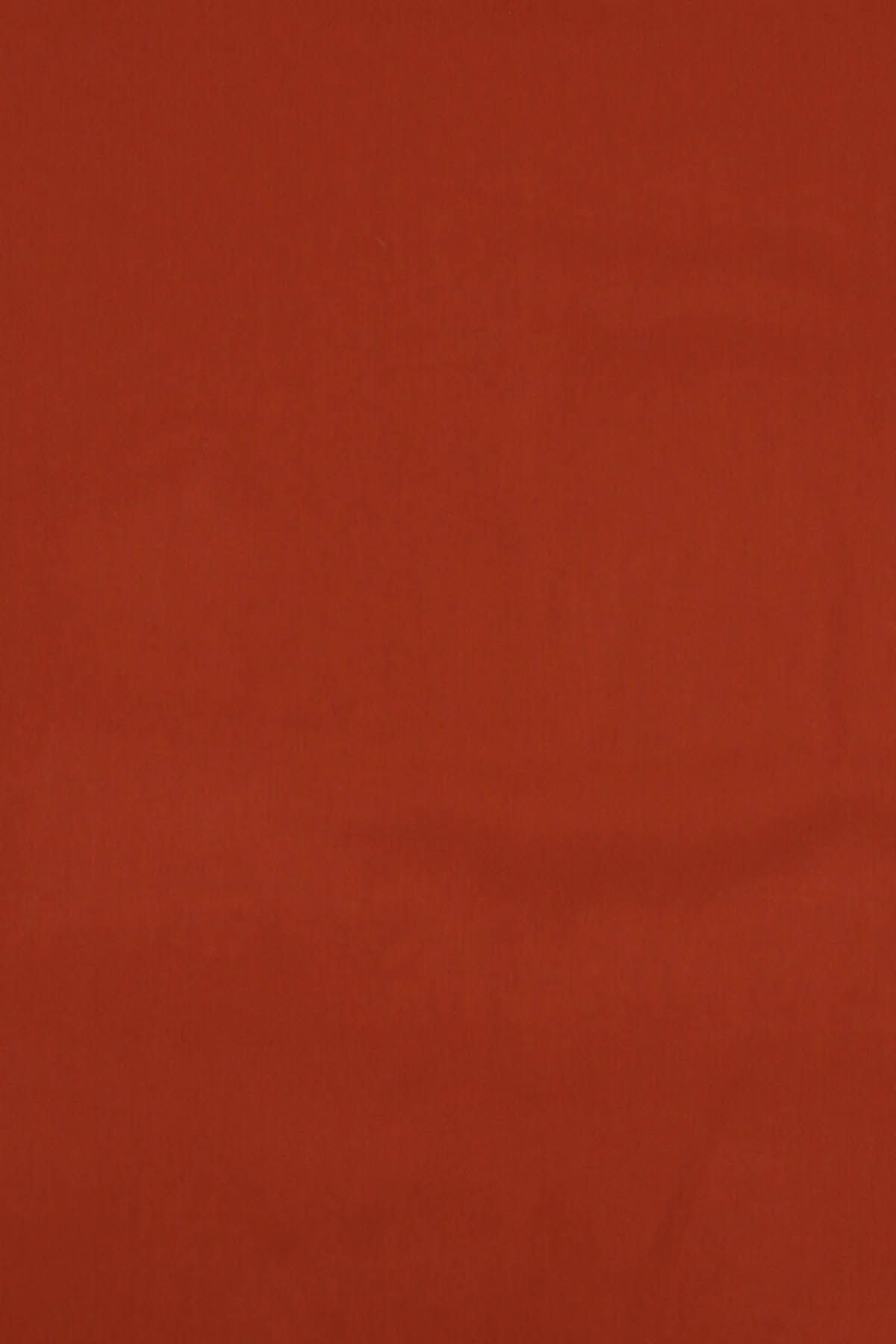 20230214204718177_E54---max mara---RIVERA009_2_P.JPG