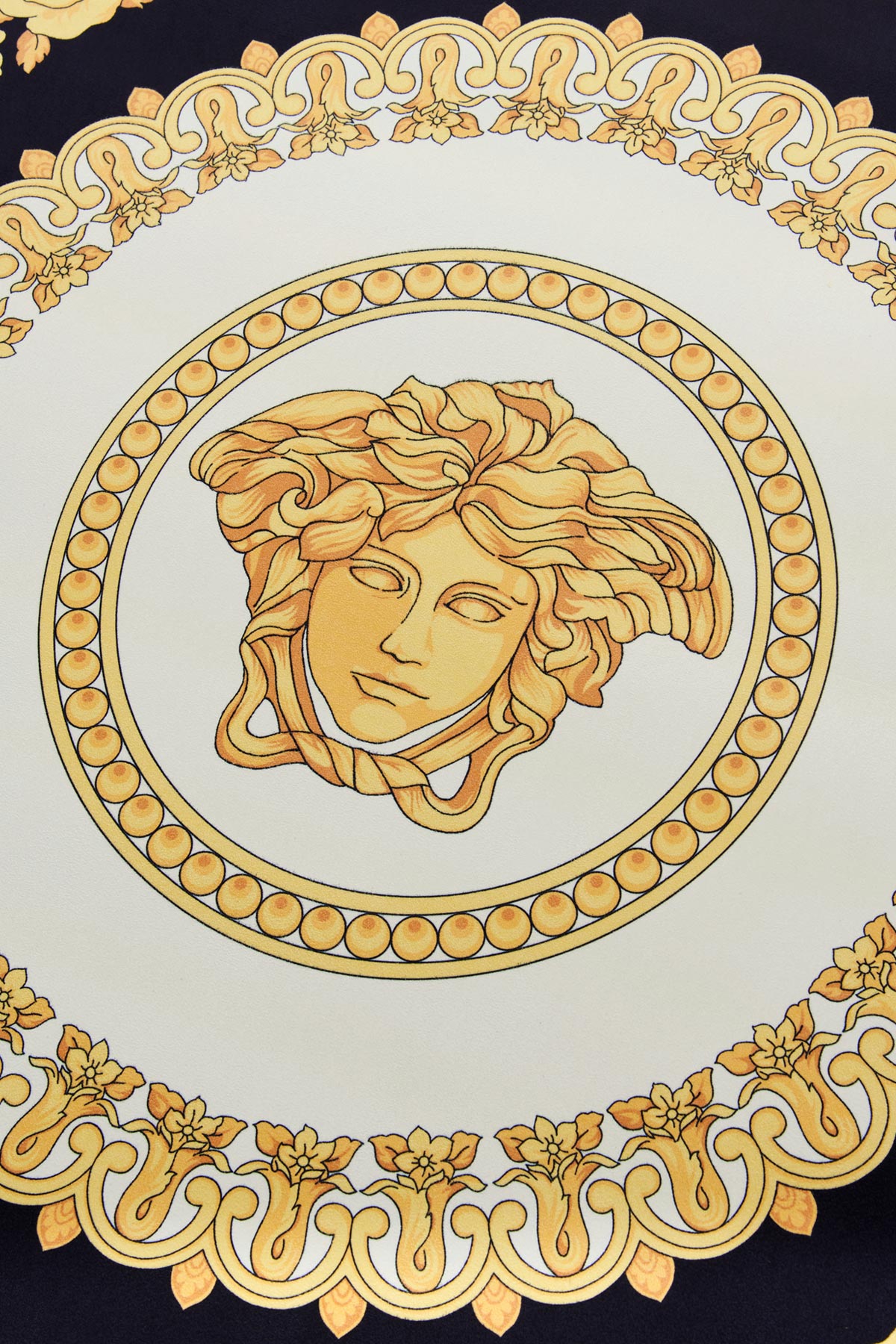 20230104211050160_E54---versace home---ZYOG00001ZGOM0000Z7626_4_P.JPG