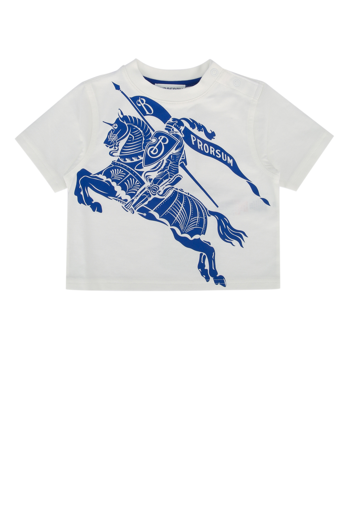 IB5 CEDAR KNIGHT EKD