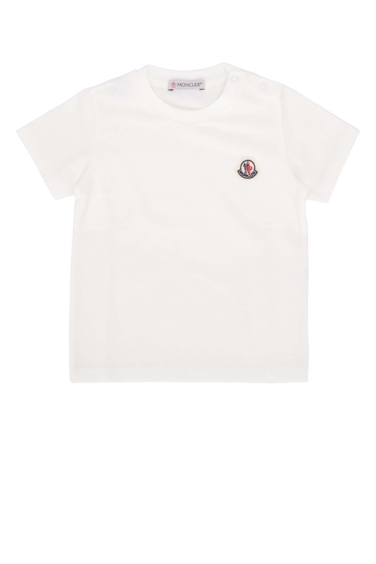 MAGLIE