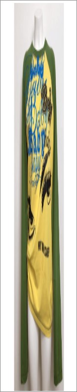 HARRY20 GREENYELLOW_1.jpg