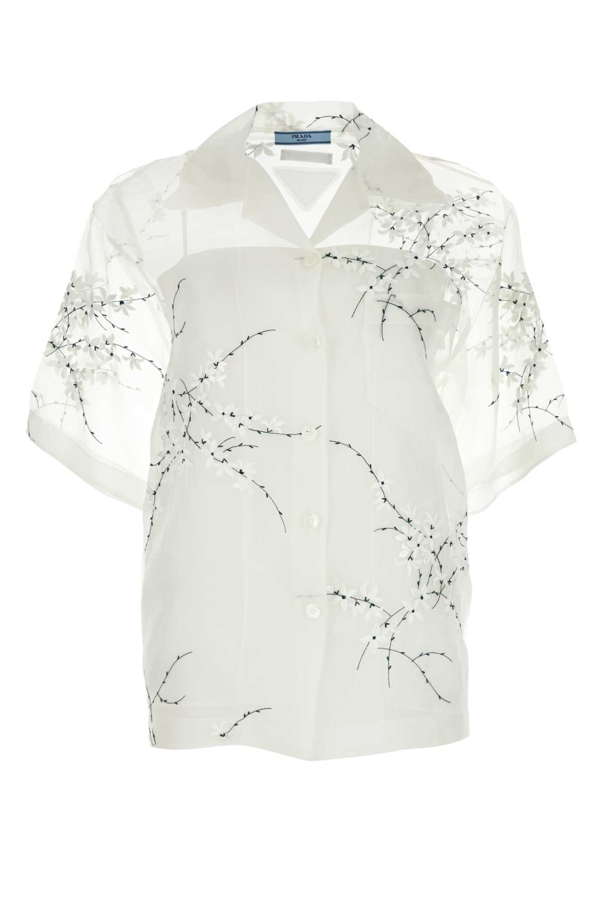 CAMICIA