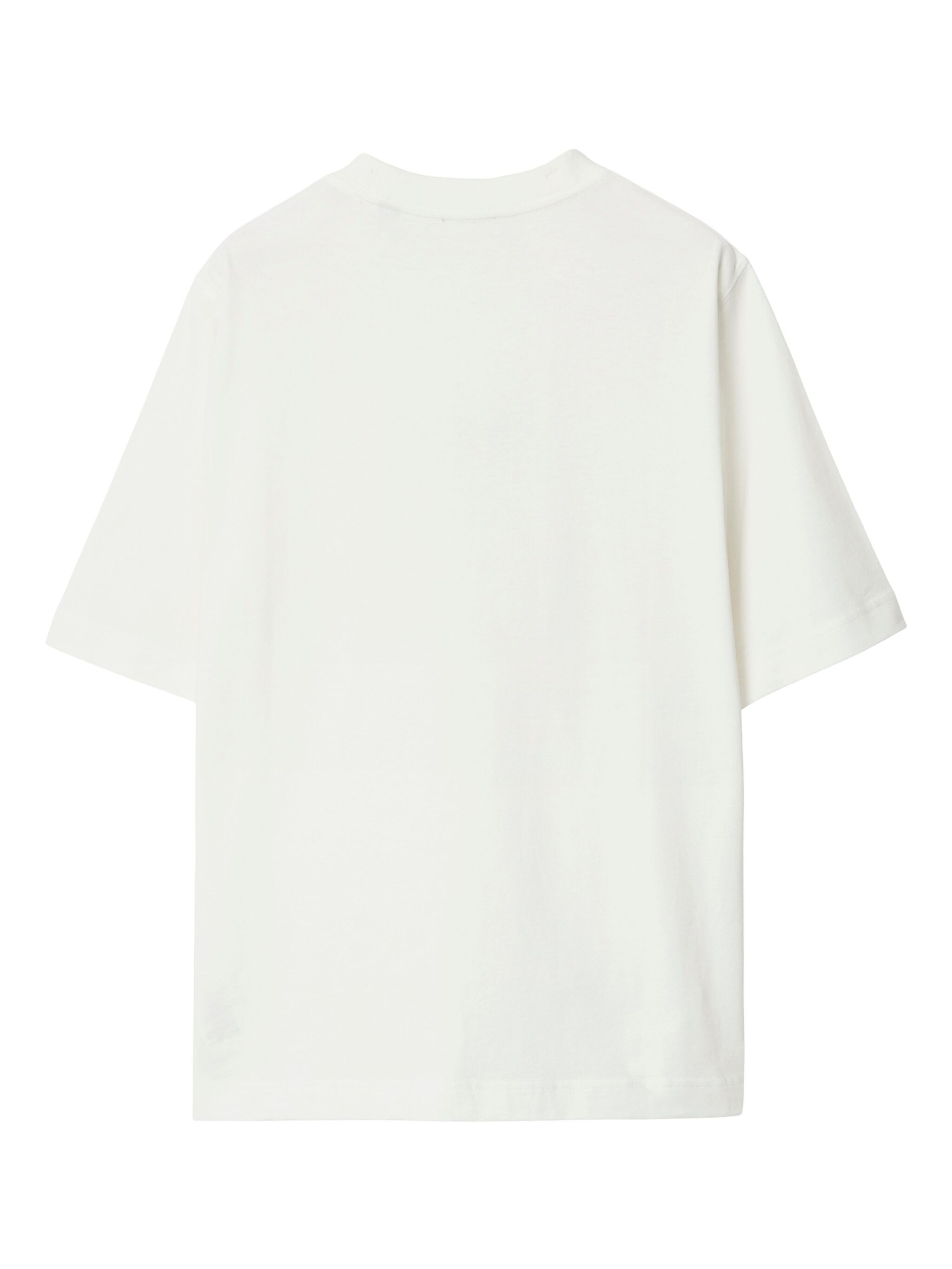 SS25---BURBERRY---8083647X_2_P.JPEG