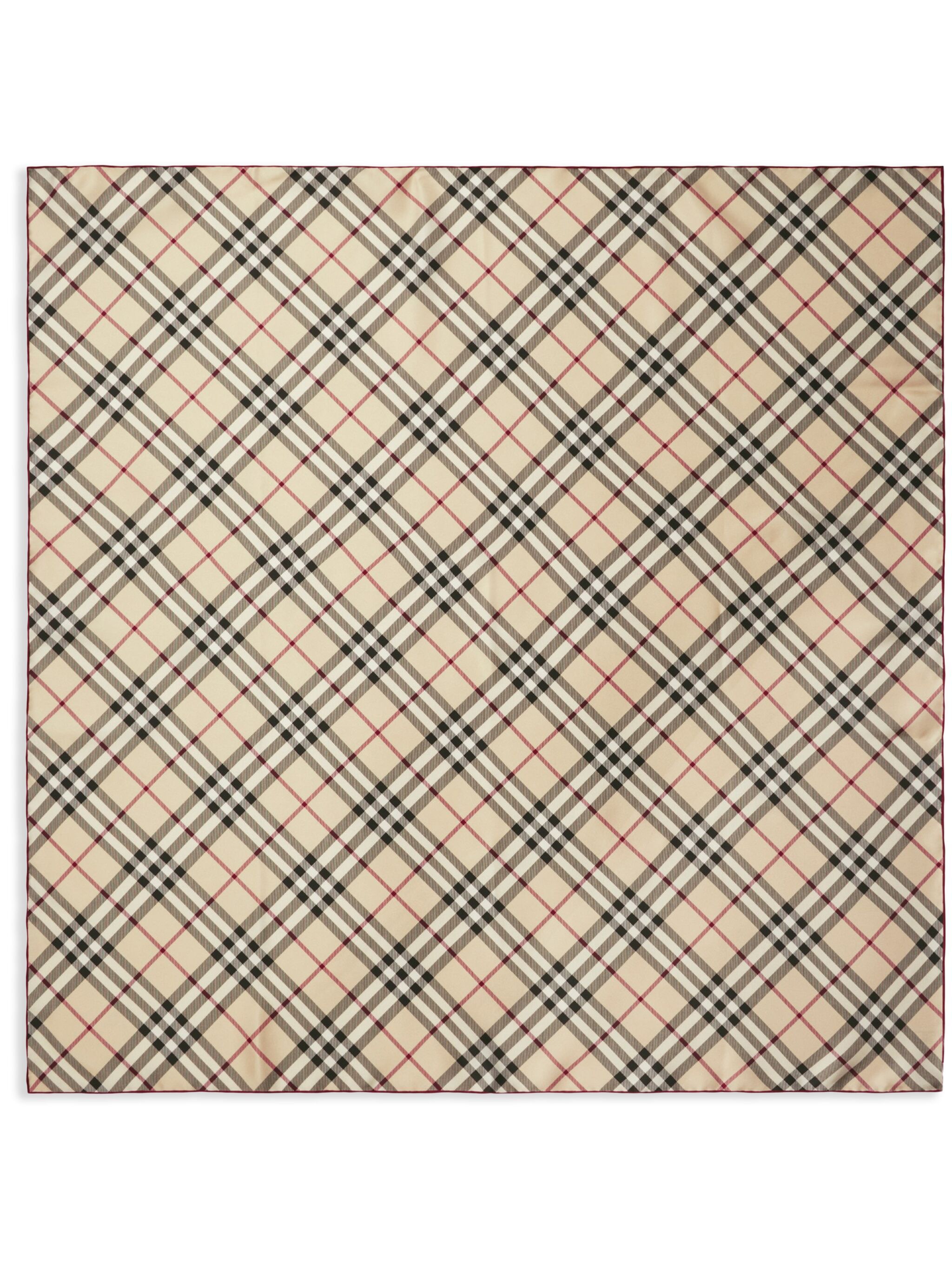SS25---BURBERRY---8095223X.JPG