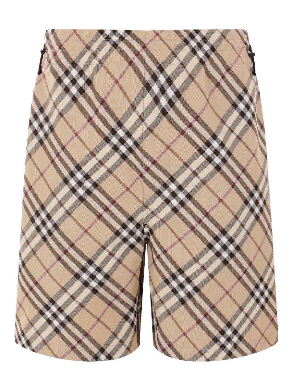 Burberry8102231X