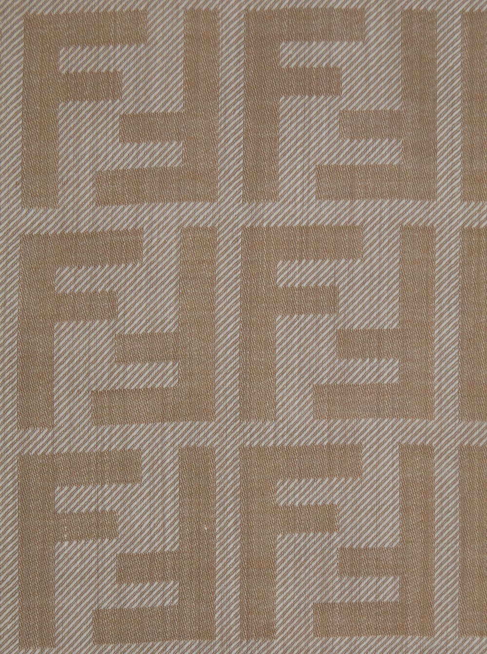 SS25---FENDI---FXT069AUM1F0QD3_2_P.JPG