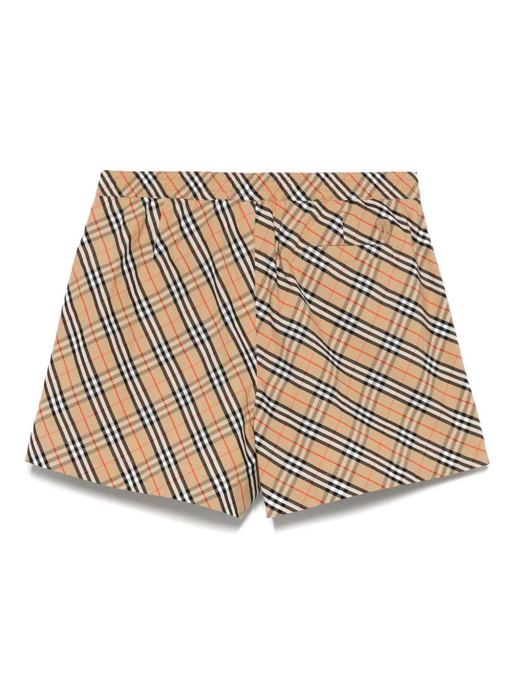 PE25---BURBERRY---8106943B9368_1_P.JPG