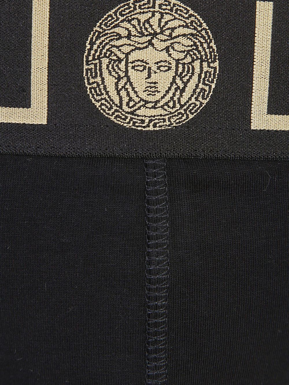 PE25---VERSACE---AU103271A10011A4345_2_P.JPG