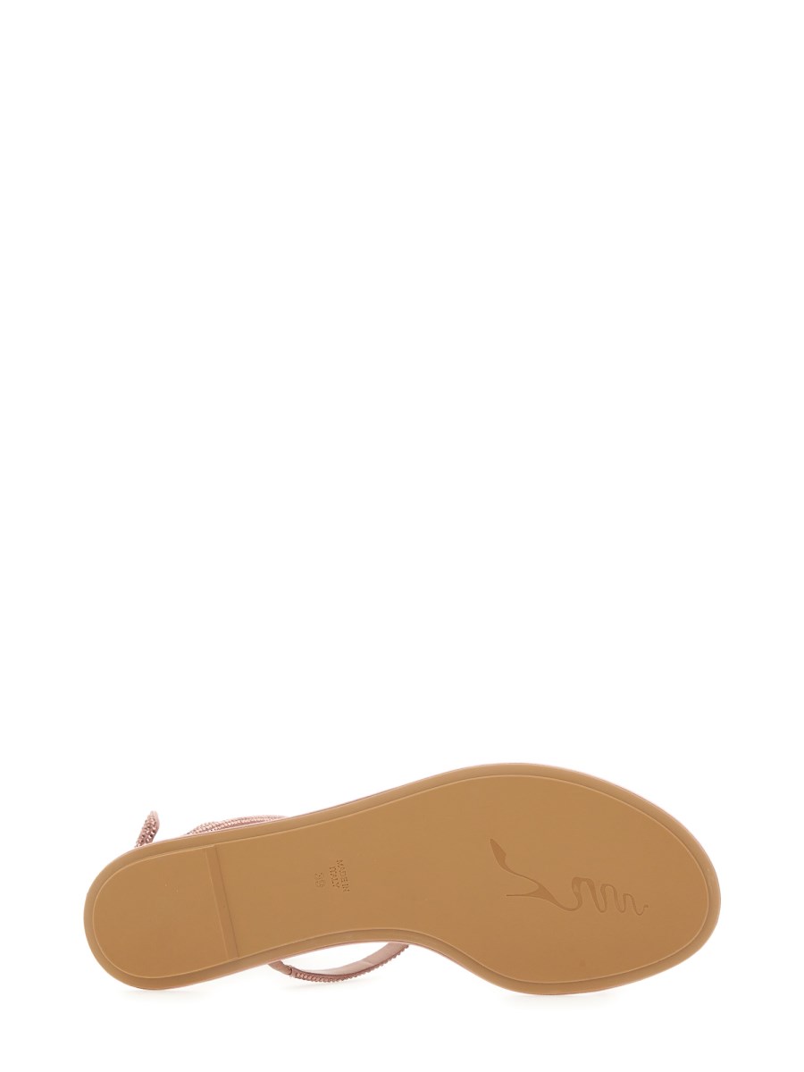 876484.JPEG